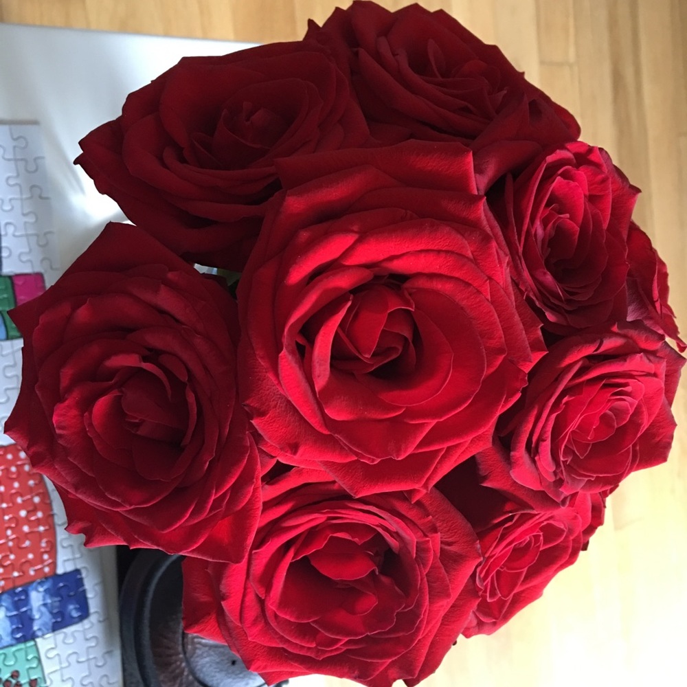 Meet your Posher, Venessa